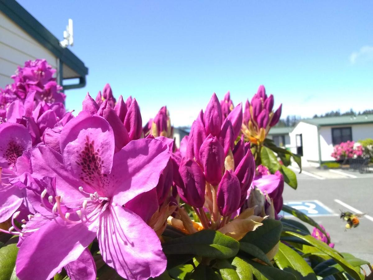 The Orca Inn Friday Harbor Eksteriør billede